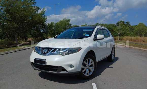 Buy Used Nissan Murano White Car in Bandar Seri Begawan in Brunei-Muara