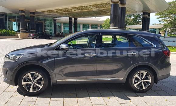 Buy Used Kia Sorento Other Car in Bandar Seri Begawan in Brunei-Muara