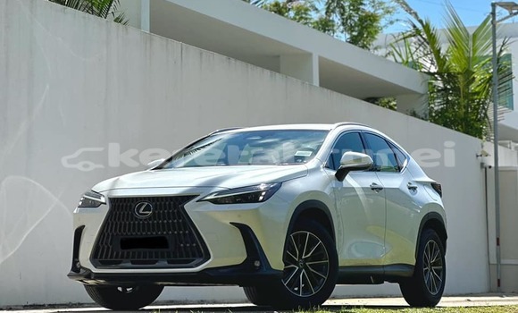 Buy Used Lexus NX Red Car in Bandar Seri Begawan in Brunei-Muara Buy Used Lexus NX Red Car in Bandar Seri Begawan in Brunei-Muara