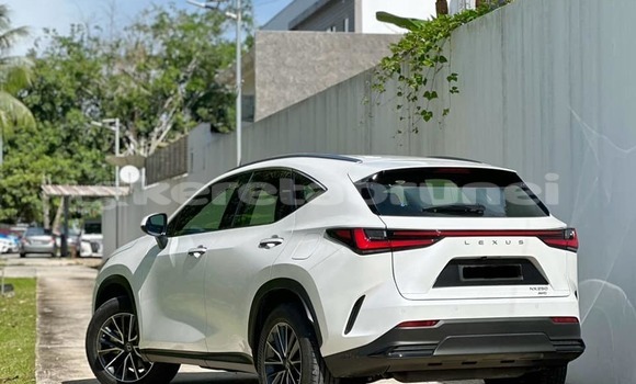 Buy Used Lexus NX Red Car in Bandar Seri Begawan in Brunei-Muara Buy Used Lexus NX Red Car in Bandar Seri Begawan in Brunei-Muara