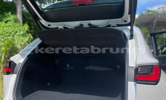 Buy Used Lexus NX Red Car in Bandar Seri Begawan in Brunei-Muara Buy Used Lexus NX Red Car in Bandar Seri Begawan in Brunei-Muara