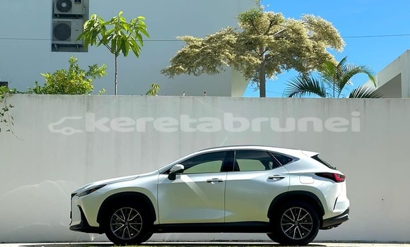 Buy Used Lexus NX Red Car in Bandar Seri Begawan in Brunei-Muara Buy Used Lexus NX Red Car in Bandar Seri Begawan in Brunei-Muara