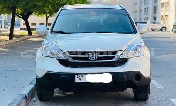 Buy Used Honda CR–V Other Car in Bandar Seri Begawan in Brunei-Muara