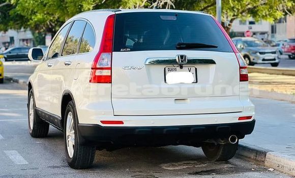 Buy Used Honda CR–V Other Car in Bandar Seri Begawan in Brunei-Muara Buy Used Honda CR–V Other Car in Bandar Seri Begawan in Brunei-Muara