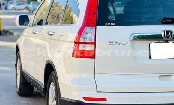 Buy Used Honda CR–V Other Car in Bandar Seri Begawan in Brunei-Muara Buy Used Honda CR–V Other Car in Bandar Seri Begawan in Brunei-Muara