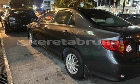 Buy Used Toyota Altis Other Car in Bandar Seri Begawan in Brunei-Muara