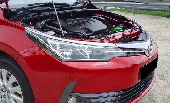 Buy Used Toyota Corolla Red Car in Bandar Seri Begawan in Brunei-Muara Buy Used Toyota Corolla Red Car in Bandar Seri Begawan in Brunei-Muara
