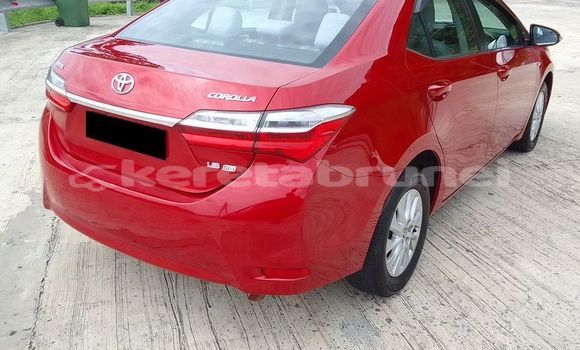 Buy Used Toyota Corolla Red Car in Bandar Seri Begawan in Brunei-Muara Buy Used Toyota Corolla Red Car in Bandar Seri Begawan in Brunei-Muara