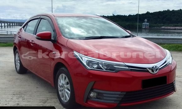 Buy Used Toyota Corolla Red Car in Bandar Seri Begawan in Brunei-Muara Buy Used Toyota Corolla Red Car in Bandar Seri Begawan in Brunei-Muara