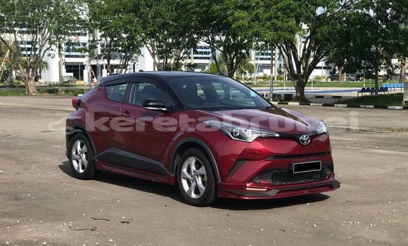 Buy Used Toyota C-HR Red Car in Bandar Seri Begawan in Brunei-Muara Buy Used Toyota C-HR Red Car in Bandar Seri Begawan in Brunei-Muara