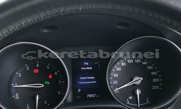 Buy Used Toyota C-HR Red Car in Bandar Seri Begawan in Brunei-Muara Buy Used Toyota C-HR Red Car in Bandar Seri Begawan in Brunei-Muara