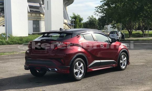 Buy Used Toyota C-HR Red Car in Bandar Seri Begawan in Brunei-Muara Buy Used Toyota C-HR Red Car in Bandar Seri Begawan in Brunei-Muara