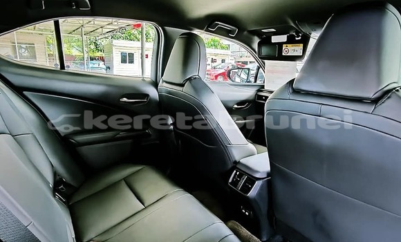 Buy Used Lexus UX Black Car in Bandar Seri Begawan in Brunei-Muara Buy Used Lexus UX Black Car in Bandar Seri Begawan in Brunei-Muara