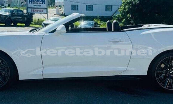 Buy Used Chevrolet Camaro White Car in Bandar Seri Begawan in Brunei-Muara Buy Used Chevrolet Camaro White Car in Bandar Seri Begawan in Brunei-Muara