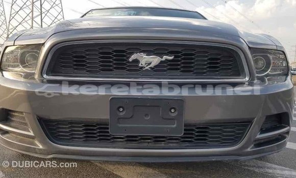Buy Import Ford Mustang Other Car in Import - Dubai in Belait Buy Import Ford Mustang Other Car in Import - Dubai in Belait