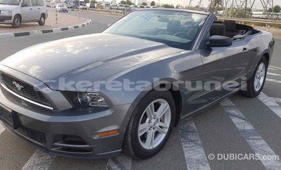 Buy Import Ford Mustang Other Car in Import - Dubai in Belait Buy Import Ford Mustang Other Car in Import - Dubai in Belait