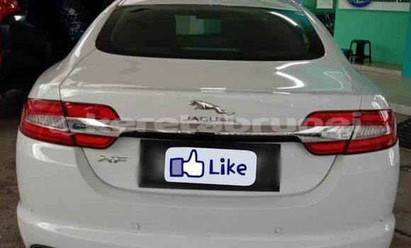 Buy Used Jaguar XF Other Car in Bandar Seri Begawan in Brunei-Muara