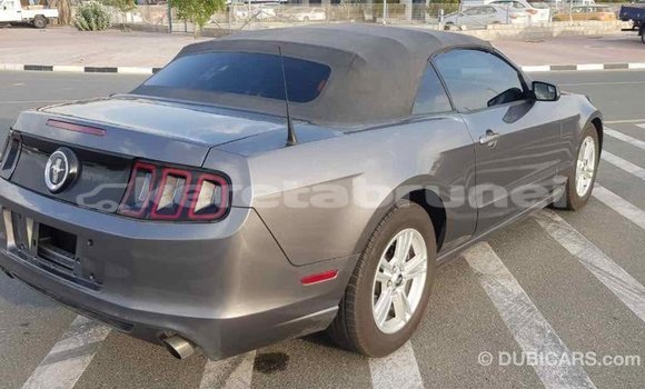 Buy Import Ford Mustang Other Car in Import - Dubai in Belait Buy Import Ford Mustang Other Car in Import - Dubai in Belait