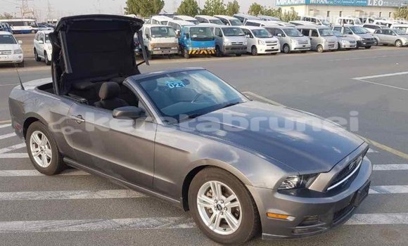 Buy Import Ford Mustang Other Car in Import - Dubai in Belait Buy Import Ford Mustang Other Car in Import - Dubai in Belait