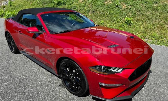 Buy Used Ford Mustang Red Car in Bandar Seri Begawan in Brunei-Muara Buy Used Ford Mustang Red Car in Bandar Seri Begawan in Brunei-Muara