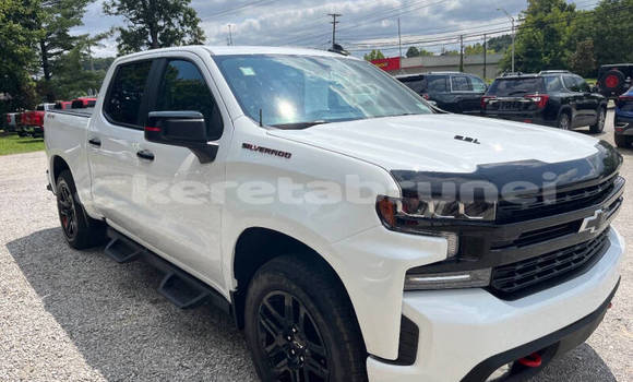 Buy Used Chevrolet Silverado White Car in Bandar Seri Begawan in Brunei-Muara