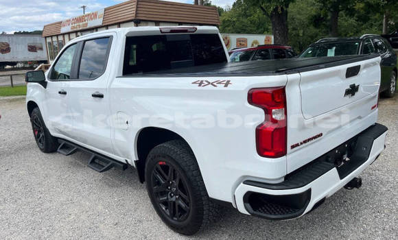 Buy Used Chevrolet Silverado White Car in Bandar Seri Begawan in Brunei-Muara Buy Used Chevrolet Silverado White Car in Bandar Seri Begawan in Brunei-Muara
