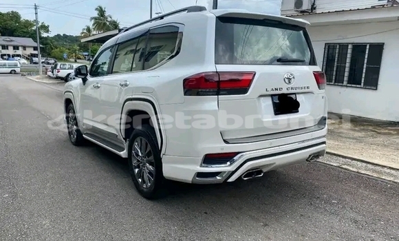 Buy Used Toyota Land Cruiser White Car in Bangar in Temburong Buy Used Toyota Land Cruiser White Car in Bangar in Temburong