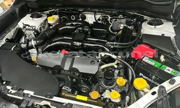 Buy Used Subaru Forester White Car in Bangar in Temburong Buy Used Subaru Forester White Car in Bangar in Temburong