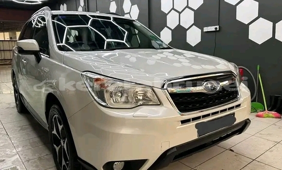 Buy Used Subaru Forester White Car in Bangar in Temburong Buy Used Subaru Forester White Car in Bangar in Temburong