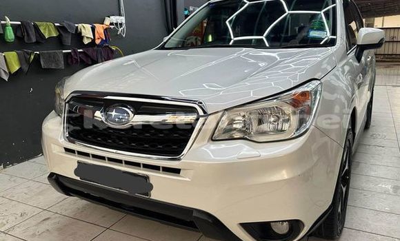 Buy Used Subaru Forester Other Car in Bandar Seri Begawan in Brunei-Muara