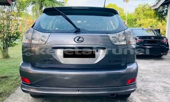 Buy Used Lexus RX 330 Other Car in Bangar in Temburong Buy Used Lexus RX 330 Other Car in Bangar in Temburong