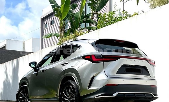 Buy Used Lexus NX Other Car in Bandar Seri Begawan in Brunei-Muara Buy Used Lexus NX Other Car in Bandar Seri Begawan in Brunei-Muara