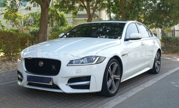 Buy Used Jaguar XF White Car in Import - Dubai in Belait Buy Used Jaguar XF White Car in Import - Dubai in Belait