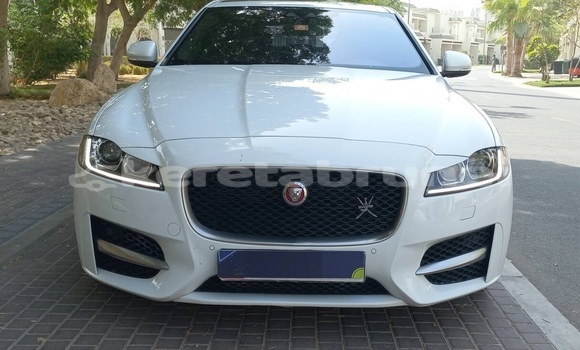 Buy Used Jaguar XF White Car in Import - Dubai in Belait Buy Used Jaguar XF White Car in Import - Dubai in Belait