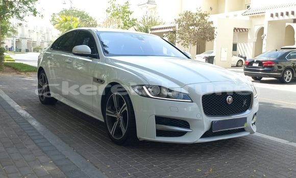 Buy Used Jaguar XF White Car in Import - Dubai in Belait Buy Used Jaguar XF White Car in Import - Dubai in Belait