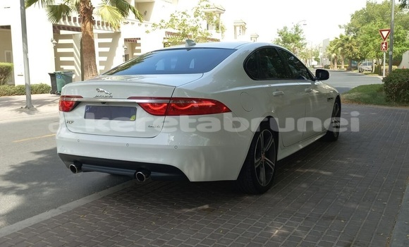 Buy Used Jaguar XF White Car in Import - Dubai in Belait Buy Used Jaguar XF White Car in Import - Dubai in Belait
