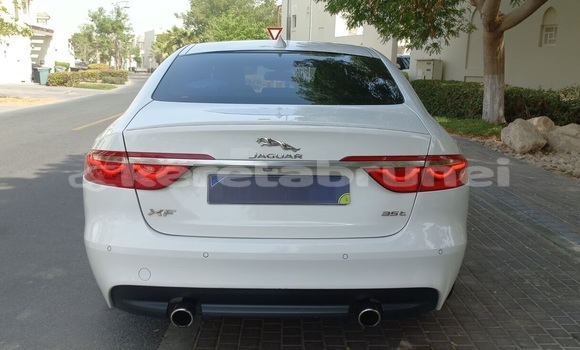 Buy Used Jaguar XF White Car in Import - Dubai in Belait Buy Used Jaguar XF White Car in Import - Dubai in Belait