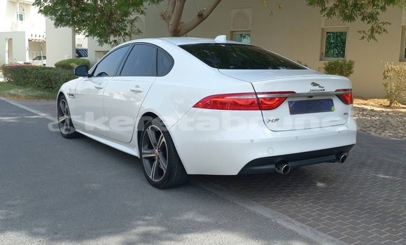 Buy Used Jaguar XF White Car in Import - Dubai in Belait Buy Used Jaguar XF White Car in Import - Dubai in Belait