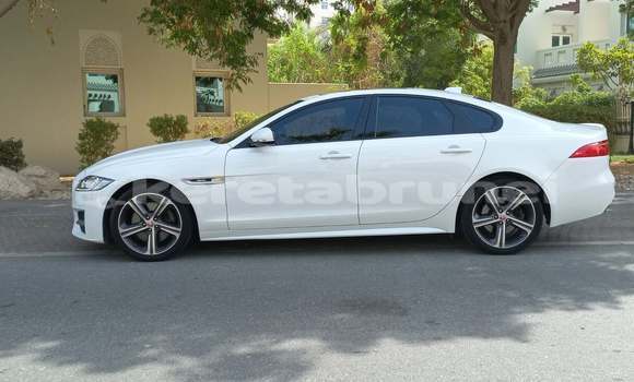 Buy Used Jaguar XF White Car in Import - Dubai in Belait Buy Used Jaguar XF White Car in Import - Dubai in Belait