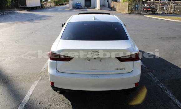 Buy Used Lexus IS White Car in Bandar Seri Begawan in Brunei-Muara Buy Used Lexus IS White Car in Bandar Seri Begawan in Brunei-Muara