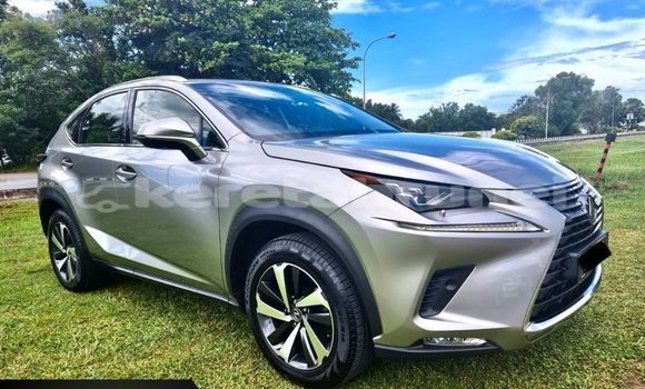 Buy Used Lexus NX Other Car in Bandar Seri Begawan in Brunei-Muara Buy Used Lexus NX Other Car in Bandar Seri Begawan in Brunei-Muara