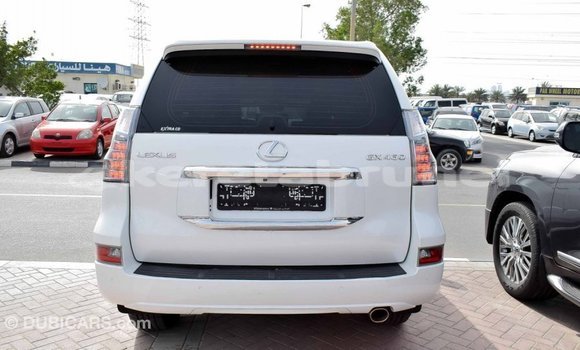 Buy Import Lexus GX White Car in Import - Dubai in Belait Buy Import Lexus GX White Car in Import - Dubai in Belait