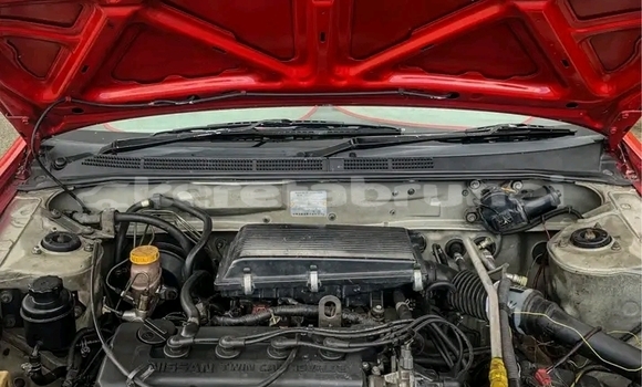 Buy Used Nissan Sunny Red Car in Tutong in Tutong Buy Used Nissan Sunny Red Car in Tutong in Tutong
