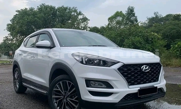 Buy Used Hyundai Tucson White Car in Bangar in Temburong Buy Used Hyundai Tucson White Car in Bangar in Temburong