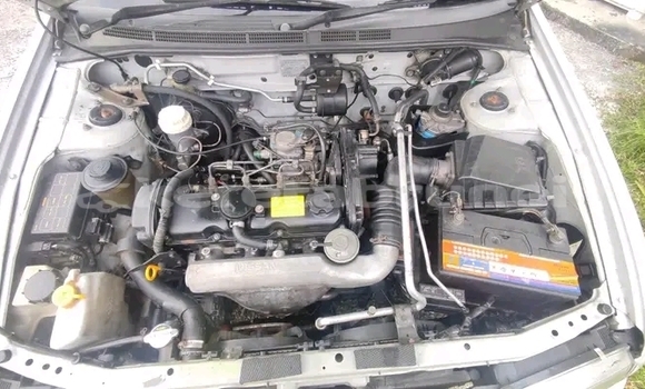 Buy Used Nissan Sunny White Car in Tutong in Tutong Buy Used Nissan Sunny White Car in Tutong in Tutong