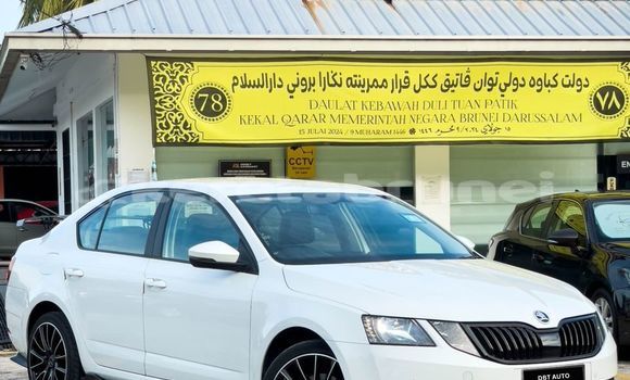 Buy Used Skoda Octavia White Car in Bandar Seri Begawan in Brunei-Muara