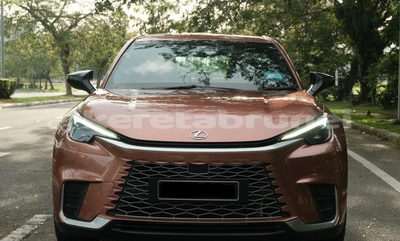 Buy Used Lexus UX Other Car in Bandar Seri Begawan in Brunei-Muara