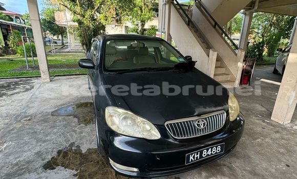 Buy Used Toyota Altis Black Car in Kuala Belait in Belait Buy Used Toyota Altis Black Car in Kuala Belait in Belait