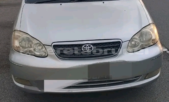 Buy Used Toyota Altis Silver Car in Bandar Seri Begawan in Brunei-Muara Buy Used Toyota Altis Silver Car in Bandar Seri Begawan in Brunei-Muara