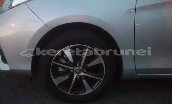 Buy Used Toyota Vios White Car in Seria in Belait Buy Used Toyota Vios White Car in Seria in Belait